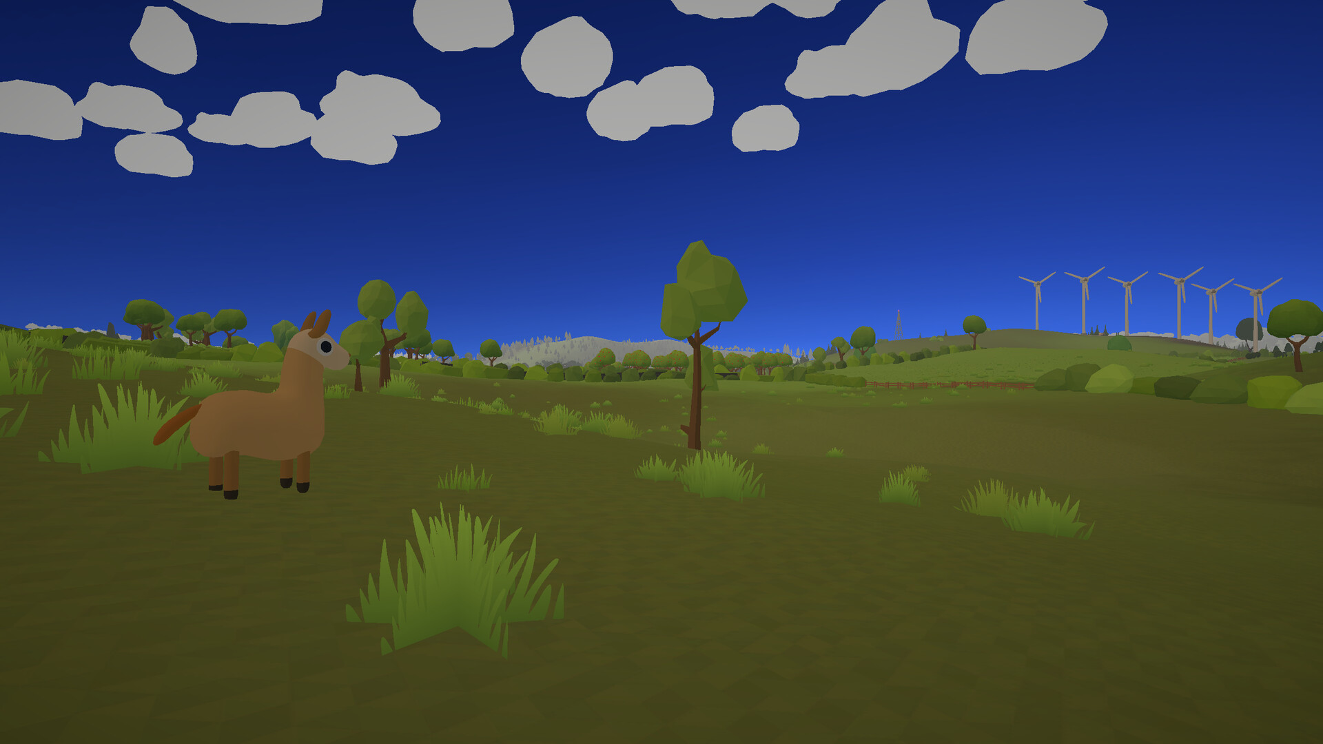 近距離觀察羊駝蘿西