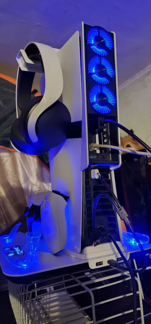 貓咪肉球實拍展示