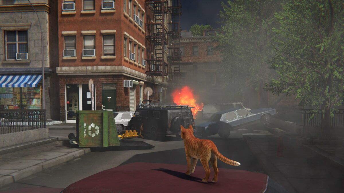 Little Strays 2 廢棄城市街道