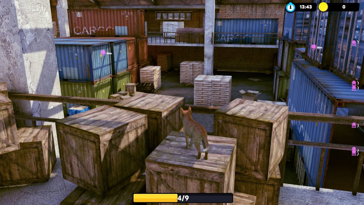 小貓大營救遊戲實機截圖一