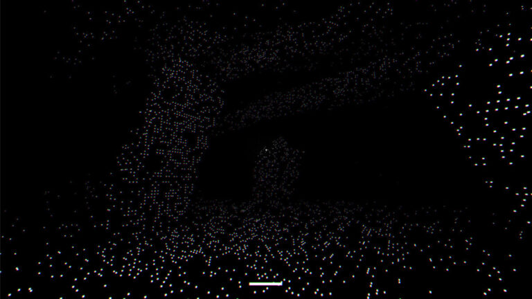 伸手不見五指的壓抑恐懼！LiDAR 視覺科幻 Roguelike 新作《NULL.Process》挑戰硬派生存極限