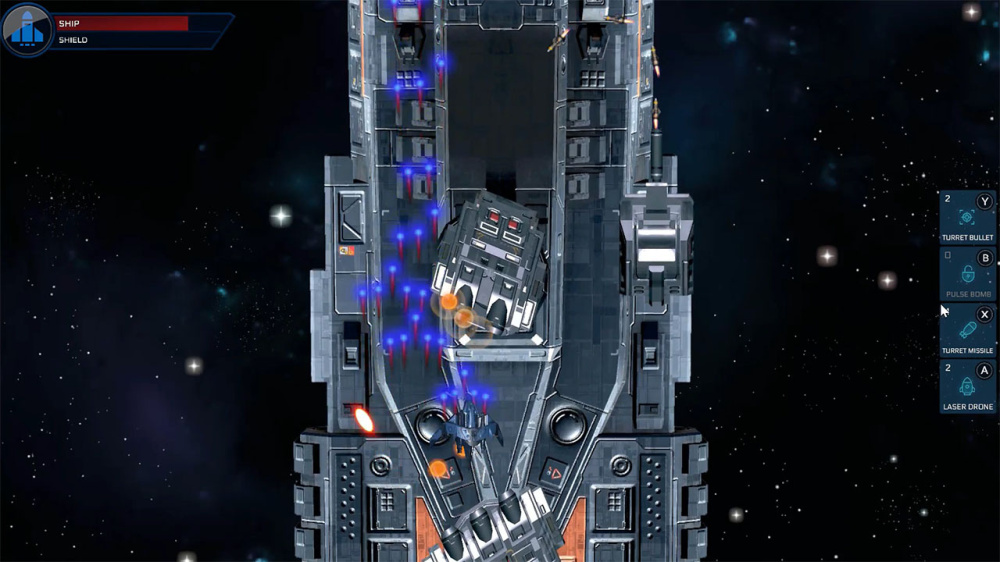 Cool Animals 益智解謎關卡展示