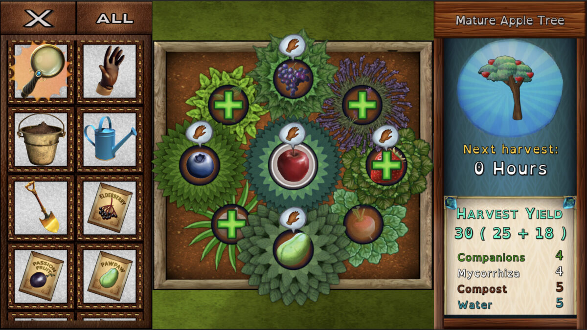 充滿綠意的農業耕作系統