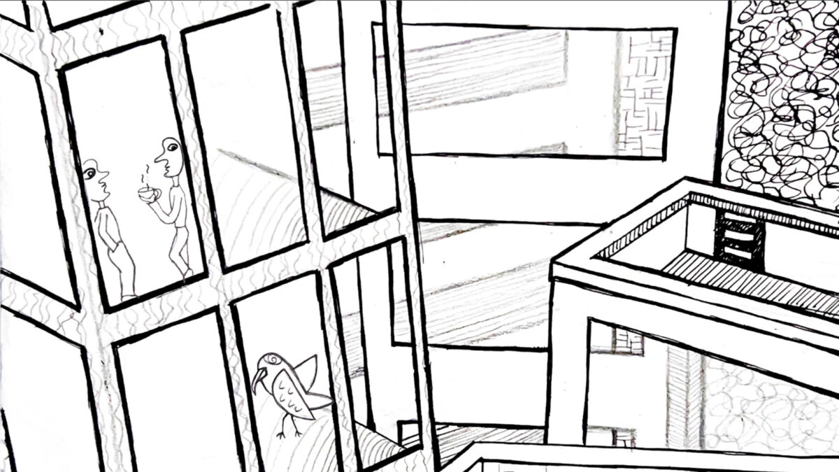 海鷗在管道間探索的精彩瞬間