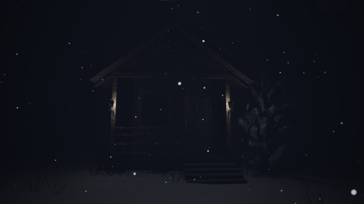 Woodswalker 森林夜間巡邏畫面