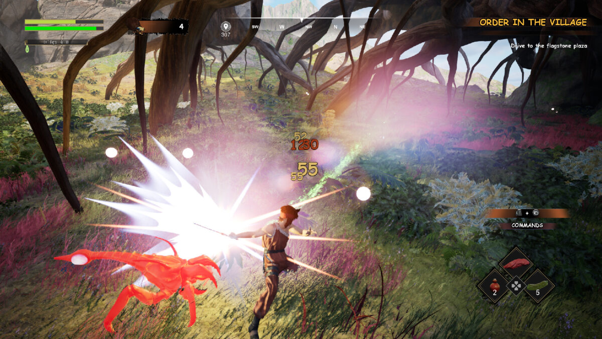 清晨光影下的森林探索