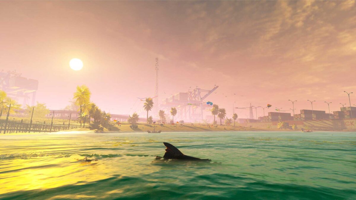 鯊魚探索深海景觀