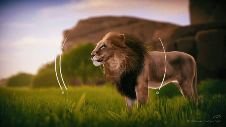 壓力大？快來這款 Steam 療癒大作《Seclusa》！結合攝影模擬與掛機元素，帶你瞬間移動到東非荒野享受靈魂冥想