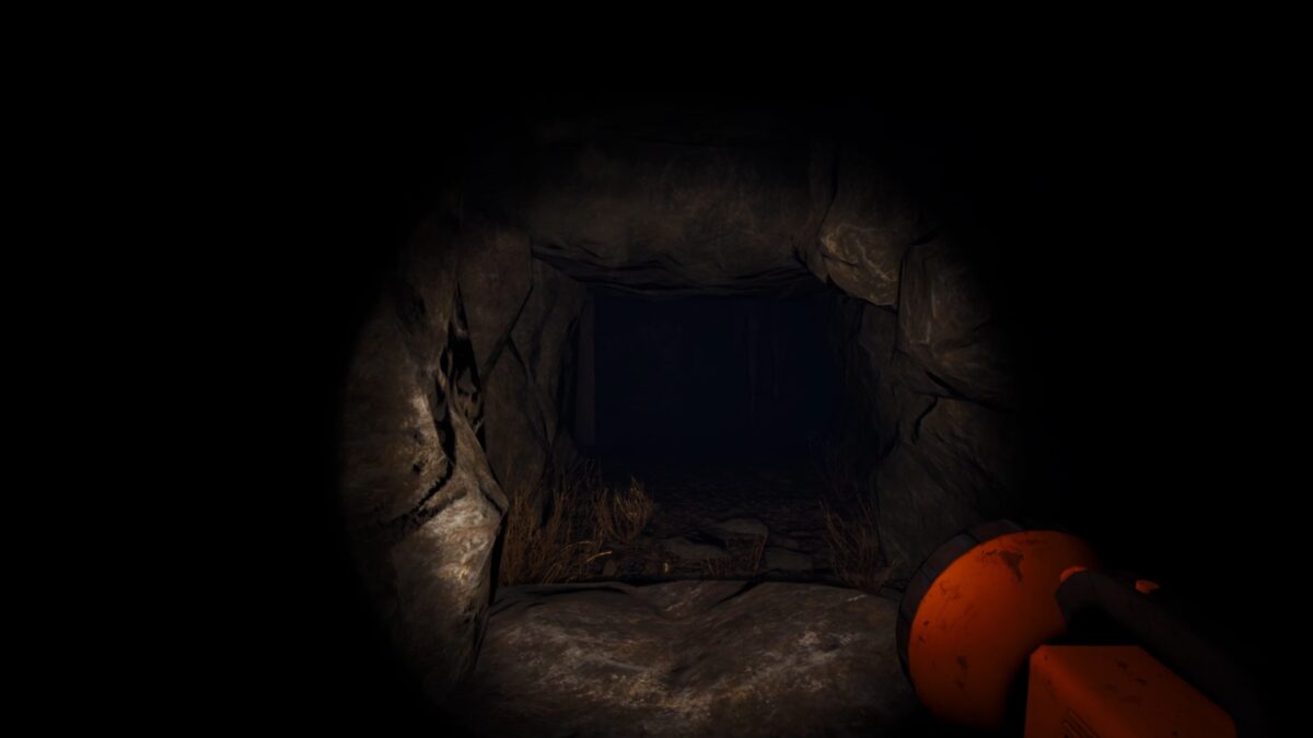 漆黑的水面上反射出的月光,河狸的身影隱約可見