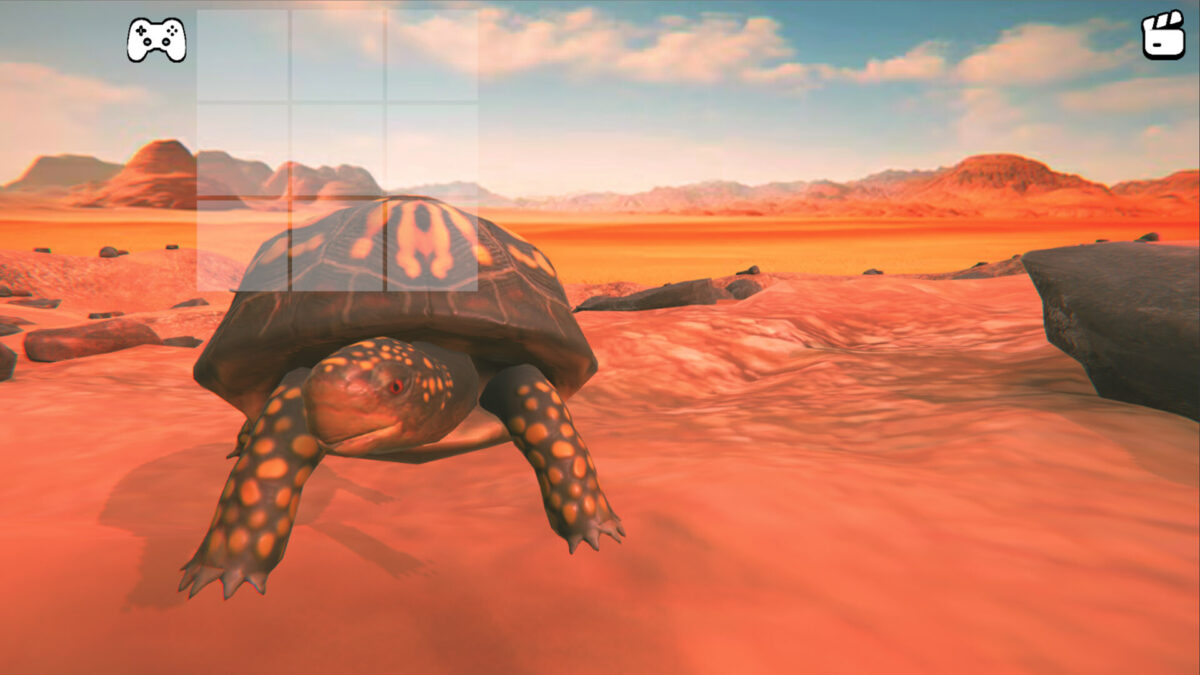 Catch the Turtle 森林場景