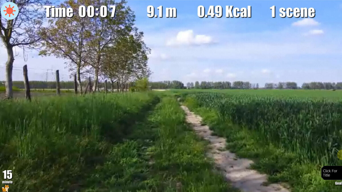 Walking with Diet 展示了黃昏時分的視覺變幻