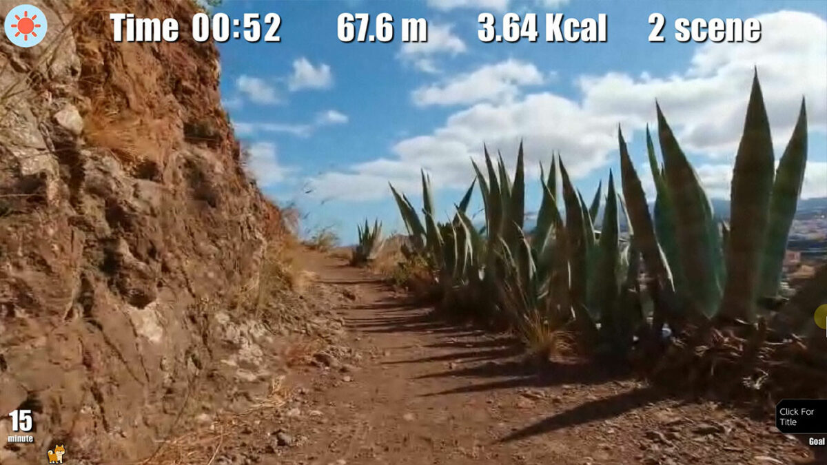 Walking with Diet 的運動數據顯示界面