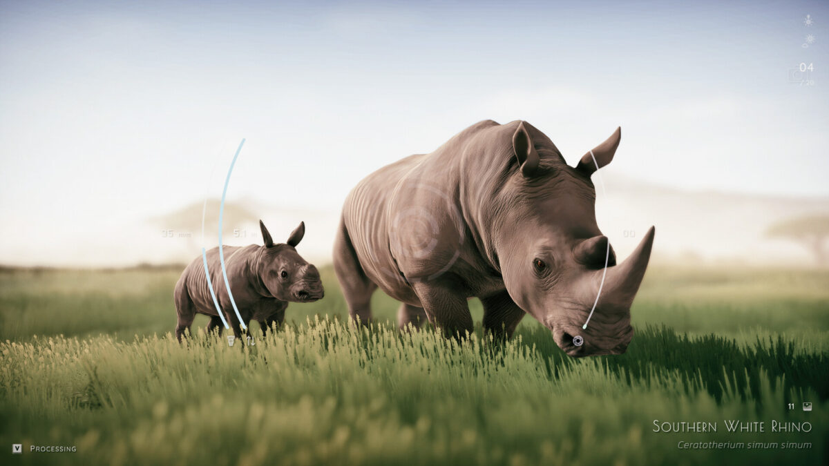 新加入的稀有動物變種