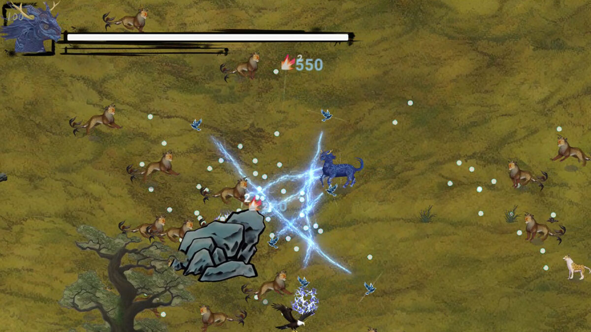 多樣化環境地形展示