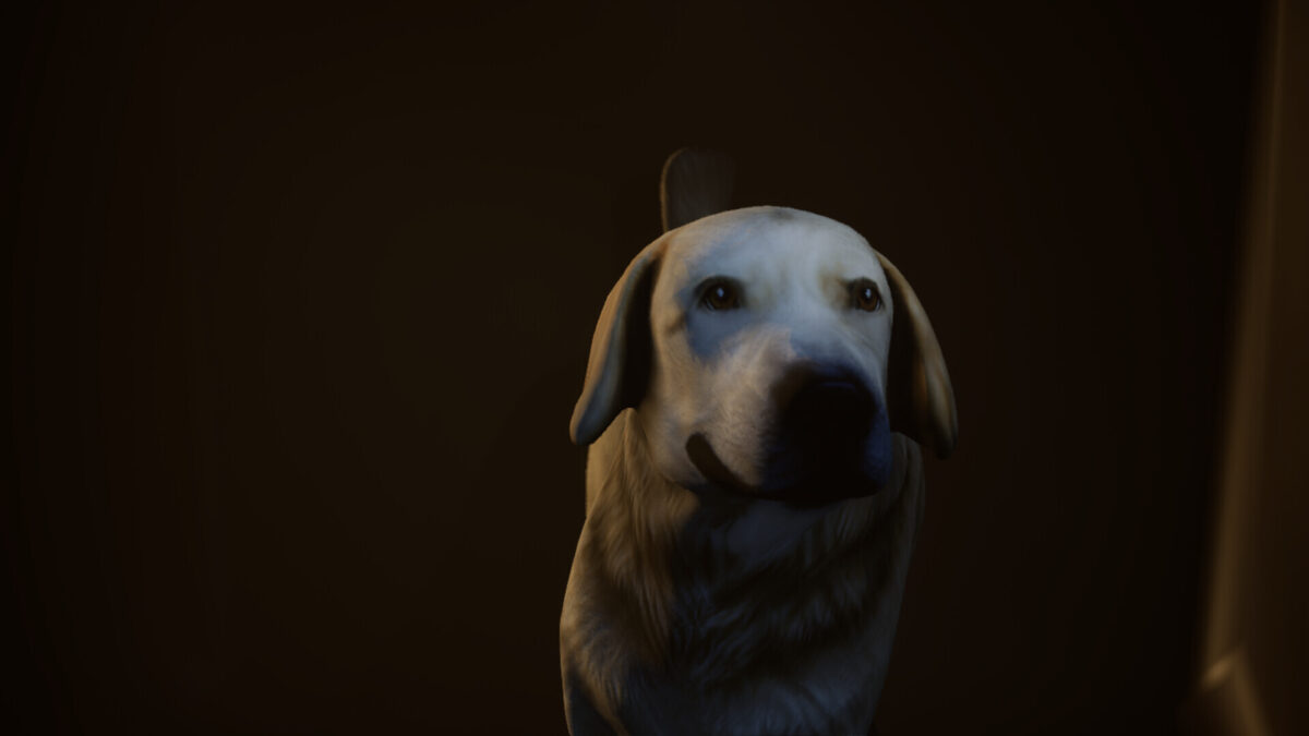 探索隱藏在陰暗處的牢籠