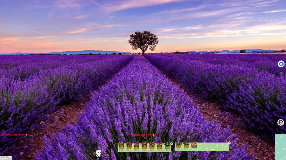 農場經營畫面展示