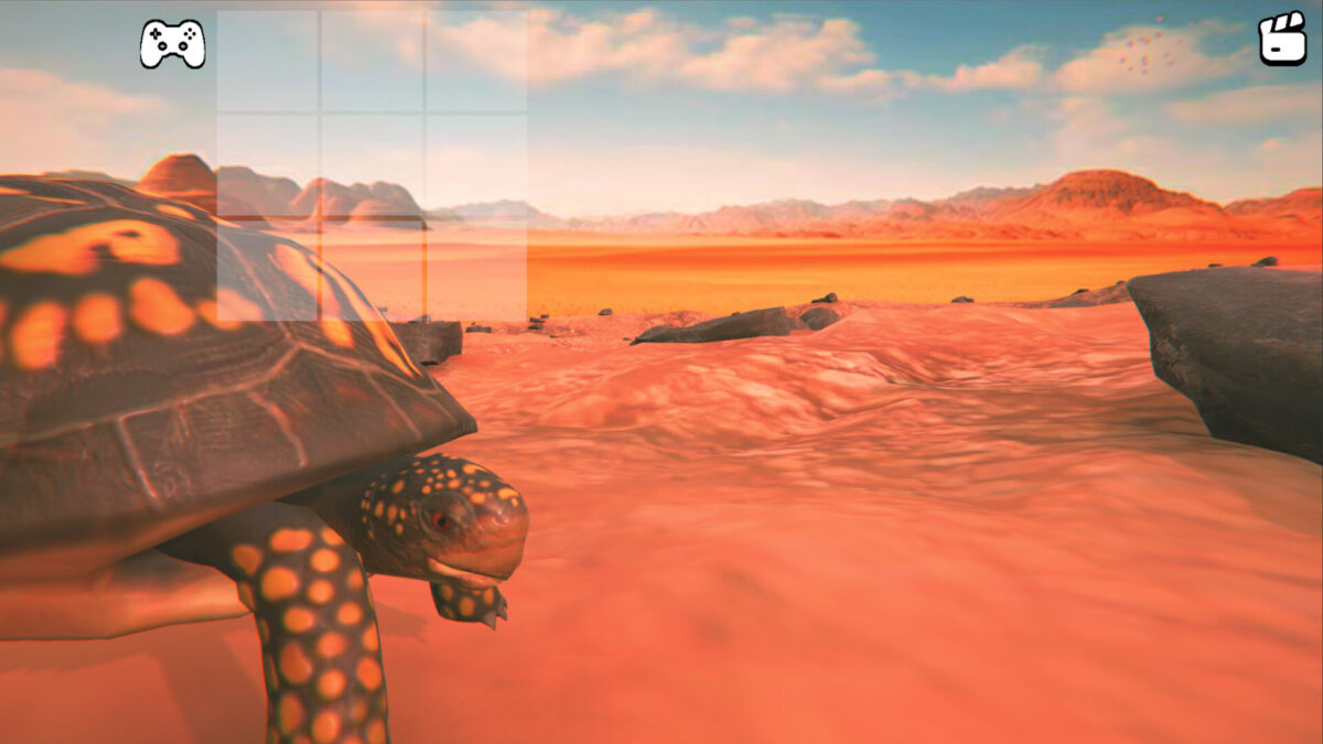 Catch the Turtle 畫面截圖五