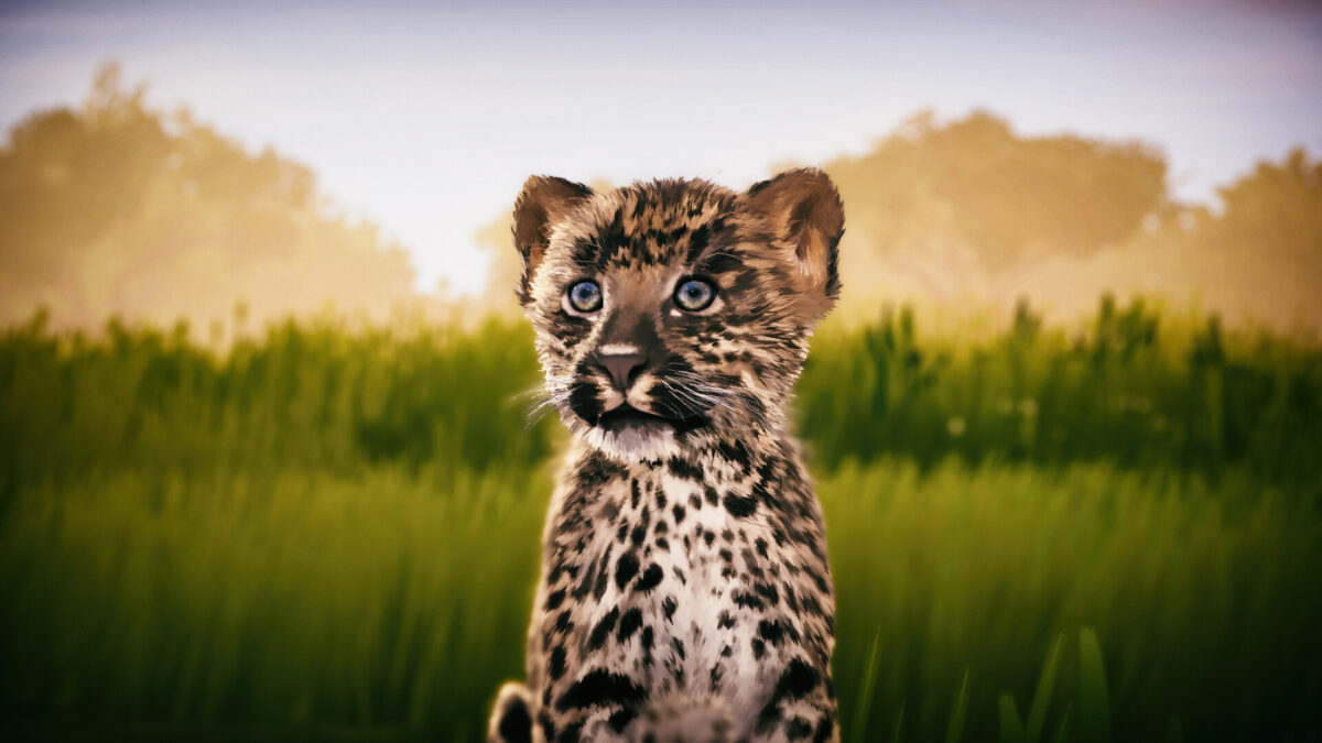 多樣化的攝影構圖可能性