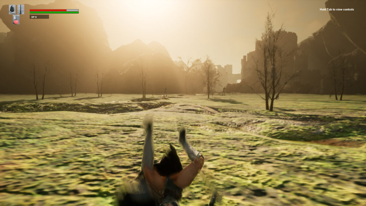 遼闊的地圖與環境光影