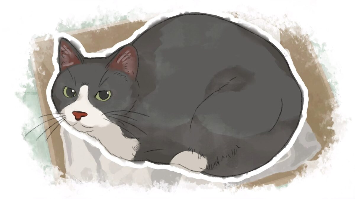 主角在不同人生階段的場景變換