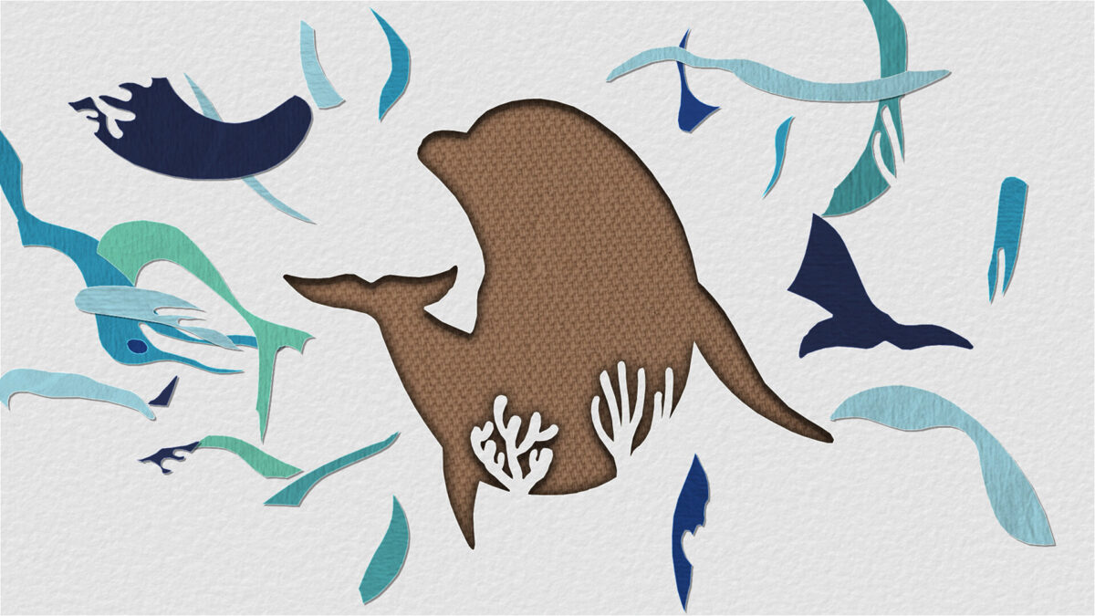 多樣化的圖案選擇與收藏清單