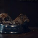 Diablo4 Lord Of Hatred Promo