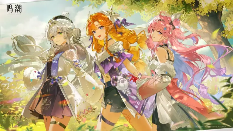 Wuwa 33 Feixue Banner